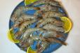 Shrimp 500g