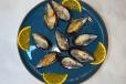 Mussels 500g