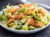 Caesar Shrimps