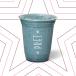 Blue Spirulina and Berries Smoothie