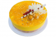 Mango Delicious Cake