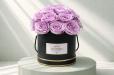Purple Haze Bloom Small Black Box