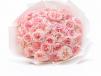 O’Hara Rose Blossoms 01