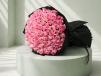 51 Cloud Pink Roses