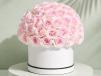 Blissful Blooms