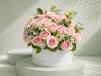 Bloom And Celebrate
