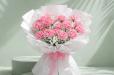 Carnation Dreams