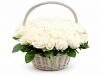 White Roses Basket 03