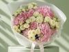 Pink Hydrangea Royale 01