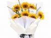 Hello Sunflower 01