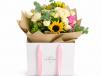 Lumora Bloomz 800