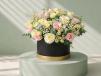 Tender Care Blooms