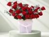 Roselle Red
