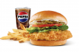 Classic Chicken Combo Meal