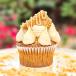 Biscoff Cupcake