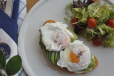 Poached Egg Avocado