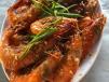 Shrimp