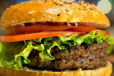 Beef Burger Sandwich