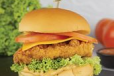 Chicken Burger Sandwich