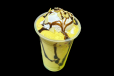 Cafe SP Juice