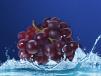 Grape Juice