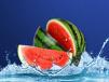 Water Melon Juice
