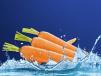 Carrot Juice