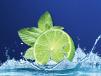 Lemon MInt Juice