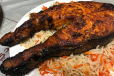 Salmon