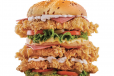 Chicken Honey Yummy Double