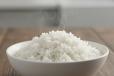 Plain Rice