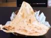 Naan
