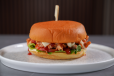 Shawarma Burger
