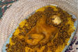 Chicken Ghozi Large Meal