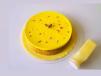 Saffron Milk Cake