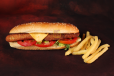 Chicken Kabab Combo