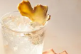 Ginger Soda