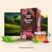 Zafran black Tea Bags 