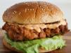 Chicken Burger Sandwich