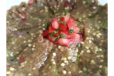 Baba Ghanouj