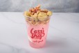 Kulfi Royal Falooda