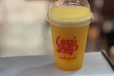 Mango Muskmelon Juice