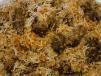 Javaid Bhai Special Mutton Biryani