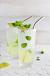 Mint Mojito