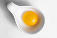 Egg Yolk