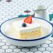 Vanilla Milk Cake