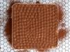 Whole Tiramisu