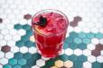 Hibiscus Spritzer