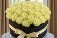 Serene White Love Box