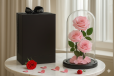 Timeless Pink Roses